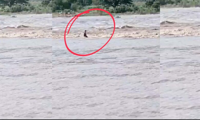 A man was washed away in Nirmal distric of Telangana on Saturday.
