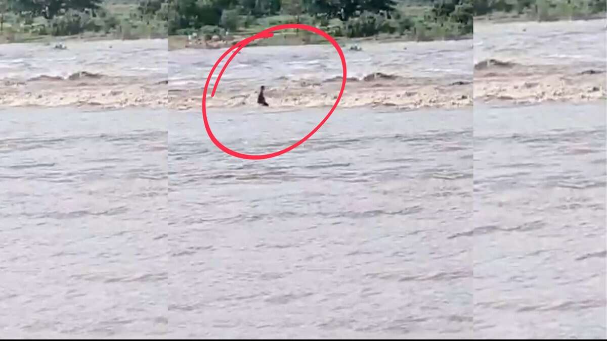 A man was washed away in Nirmal distric of Telangana on Saturday.