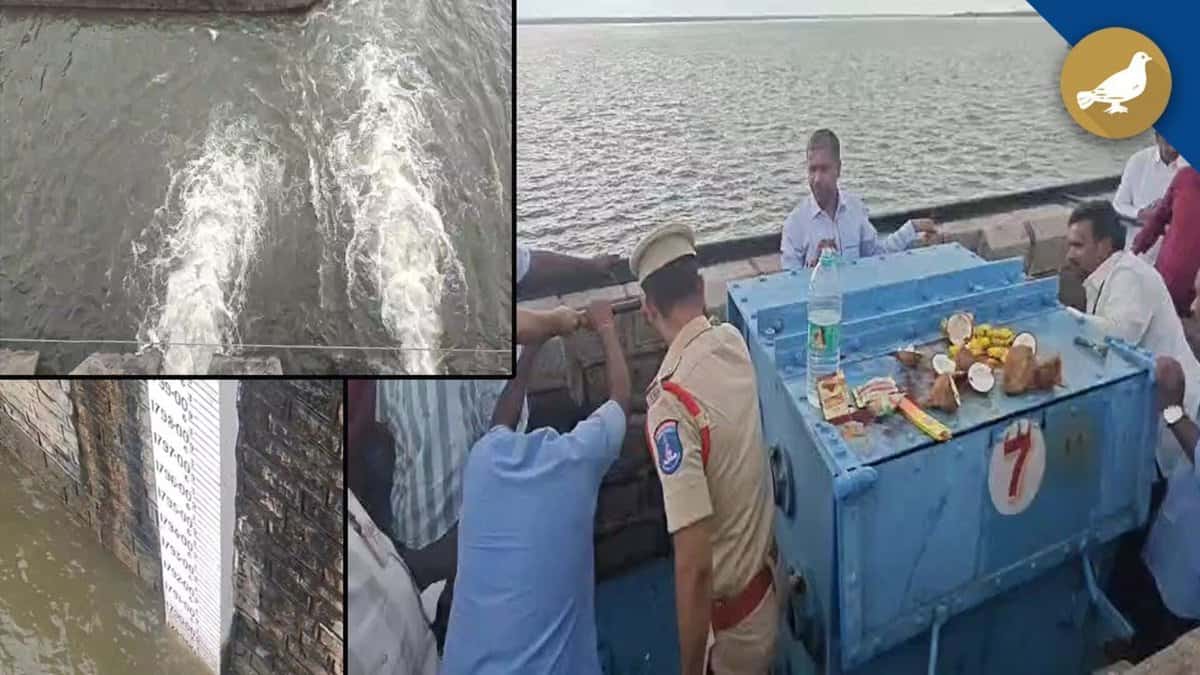 Osman Sagar floodgates open