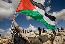 Protester waves large Palestinian flag on rocky hillside under cloudy sky.