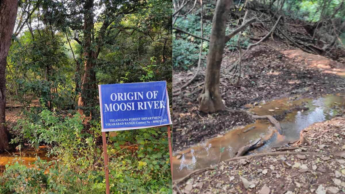 From hills to Hyderabad: Visit the place where Musi River starts