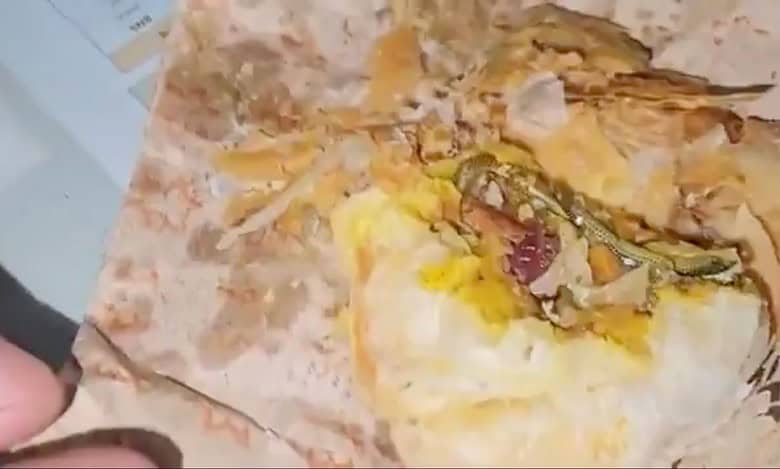 Snake found inside curry puff in Jadcherla, complaint filed