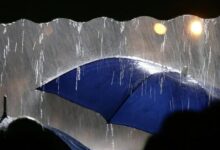 IMD issues yellow and orange alerts in several districts in Telangana till August 19.
