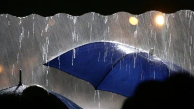 IMD issues yellow and orange alerts in several districts in Telangana till August 19.