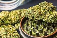 A representational iamge for Ganja