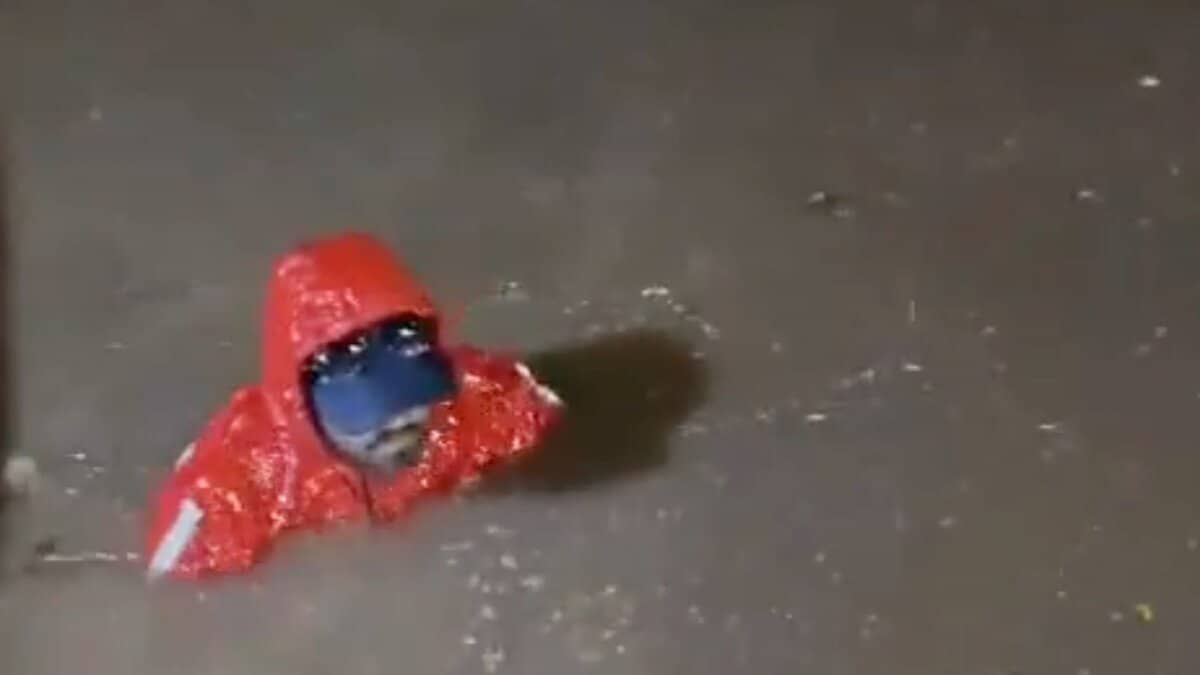 Gig worker falls into a drain in Hyderabad