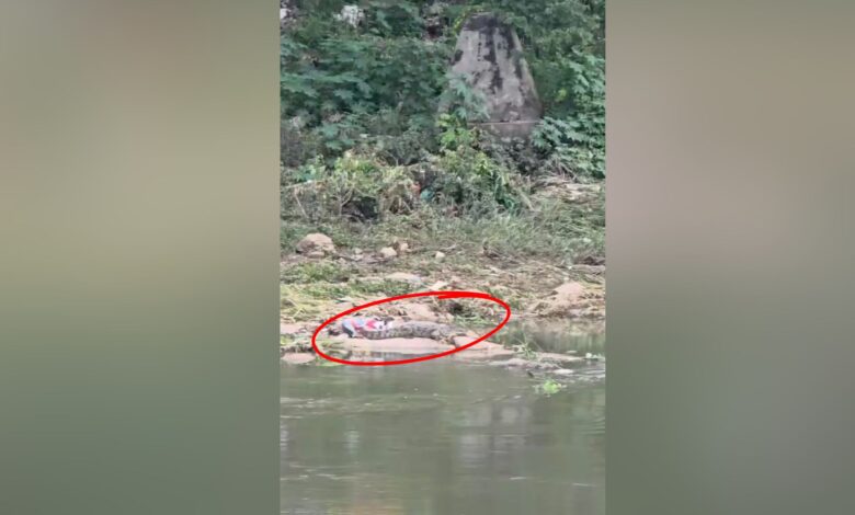 Crocodile (circled red) spotted in Defence Colony on Sunday