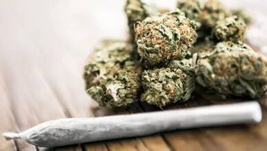 ganja