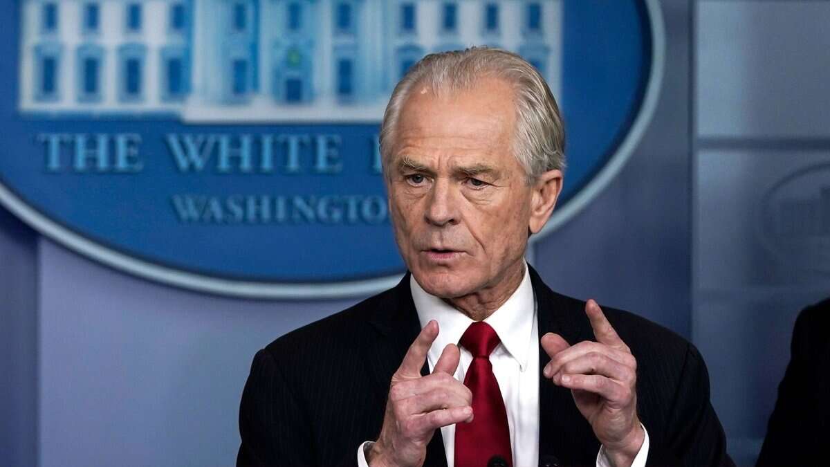 White House trade adviser Peter Navarro