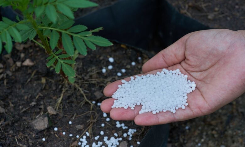 Urea shortage in India