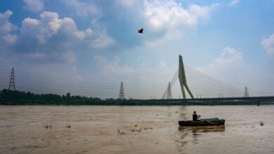 Yamuna river during the monsoon season,