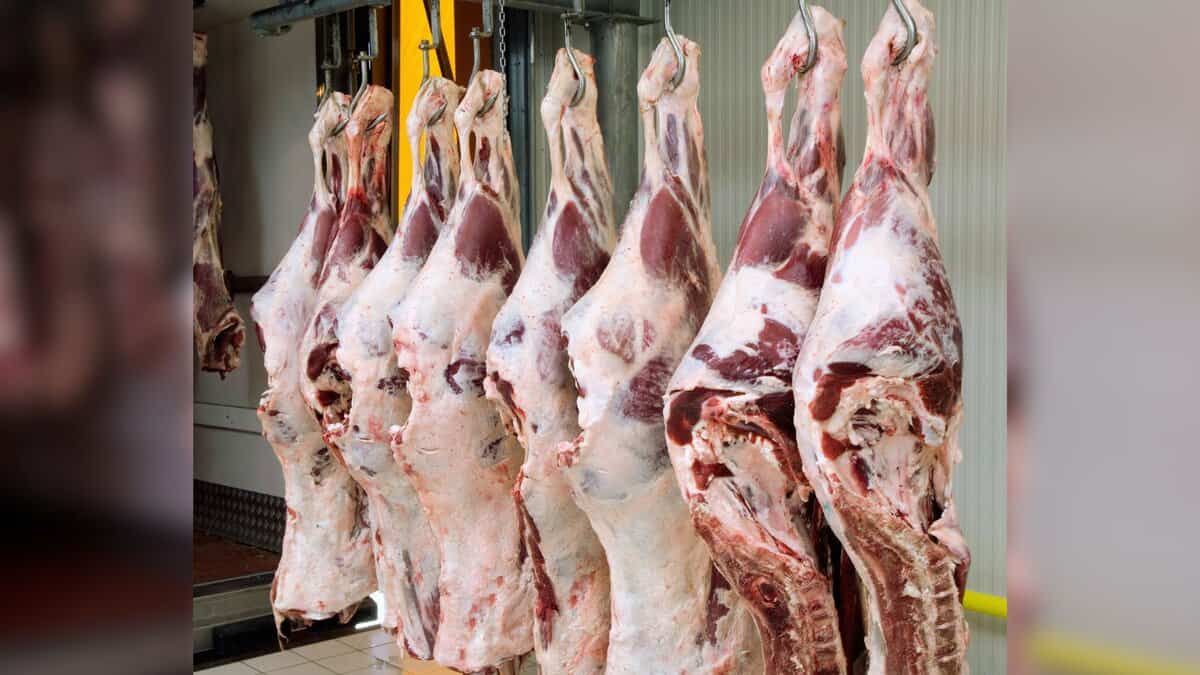 Beef shops to remain closed in Hyderabad