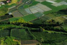 Prime open plots in Hyderabad to go for auction.