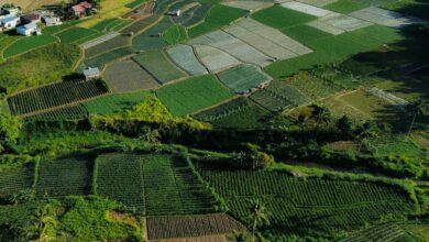 Prime open plots in Hyderabad to go for auction.
