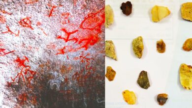 Prehistoric rock art site found in Keesara by members of Kotha Telangana Charithra Brundam.