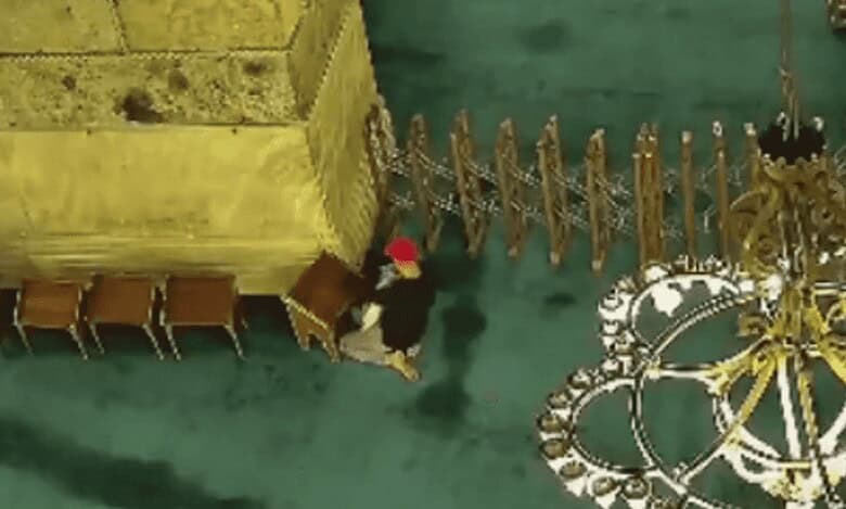 Overhead view of a person in a red cap and dark clothing near a yellow structure, with chairs and a chandelier in the background, inside a mosque.