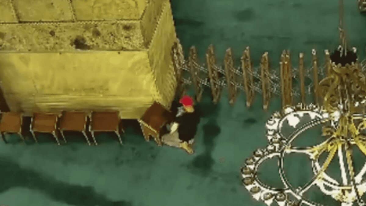 Overhead view of a person in a red cap and dark clothing near a yellow structure, with chairs and a chandelier in the background, inside a mosque.
