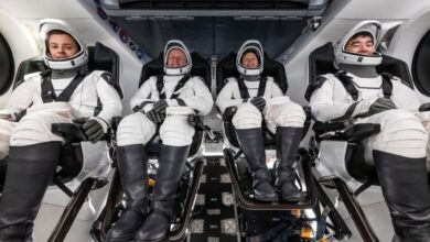 the Crew 11 mission aboard SpaceX Dragon