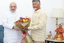 Andhra Pradesh CM Chandrababu Naidu, along Andhra MPs meeting with Union Home Minister Amit Shah