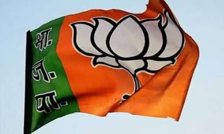 BJP flag