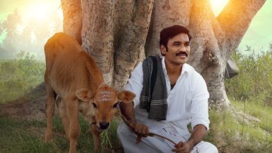 idly Kadai