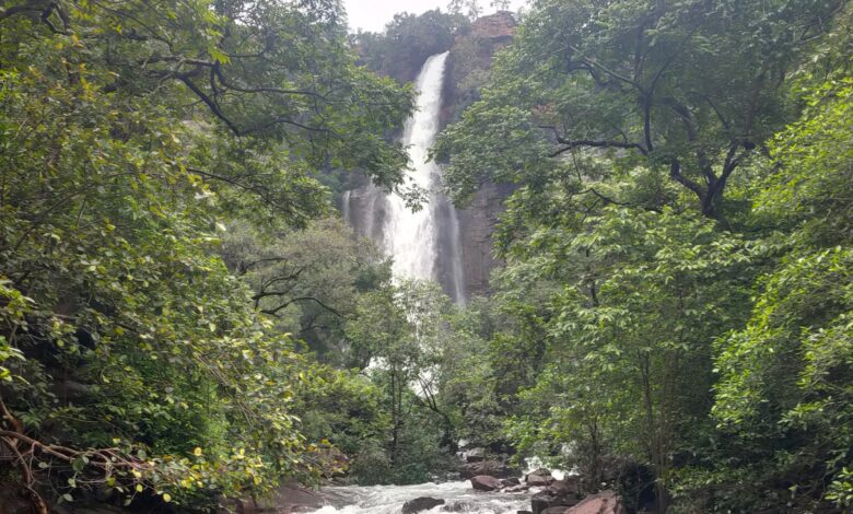 Travel from Hyderabad