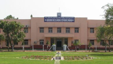 PVNR Telangana Veterinary University