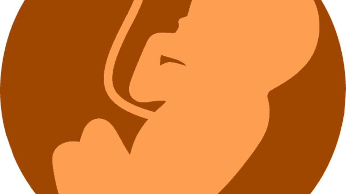 Representational image of a baby in the womb