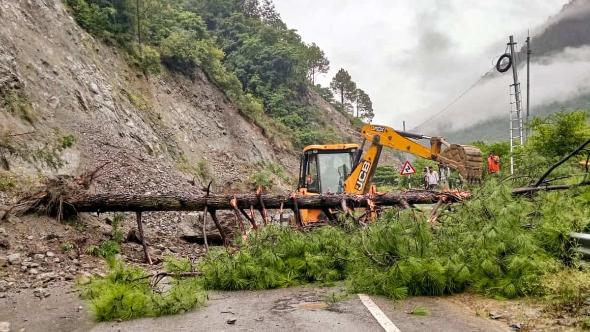 Several roads have been blocked by trees, debris and stones in Uttarakhand due to heavy rainfall