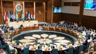 Arab ministerial conference in Cairo
