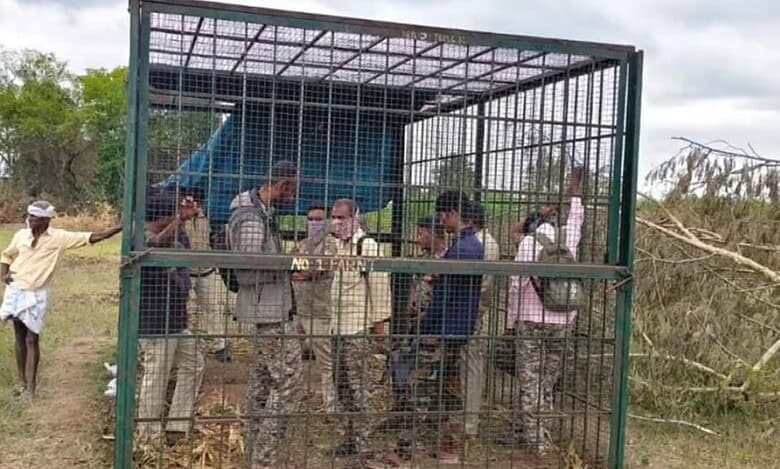Villagers in Karnataka locked up forest officials for over 20 minutes after failing to to trap a tiger