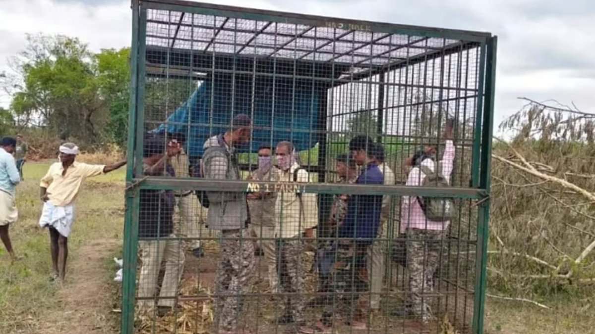 Villagers in Karnataka locked up forest officials for over 20 minutes after failing to to trap a tiger