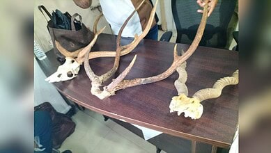 deer meat in Hyderabad