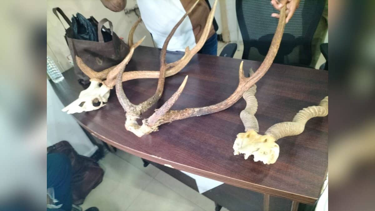deer meat in Hyderabad
