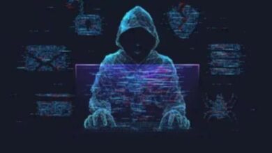 Online visa fraud