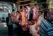 slaughterhouse