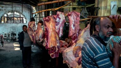 slaughterhouse