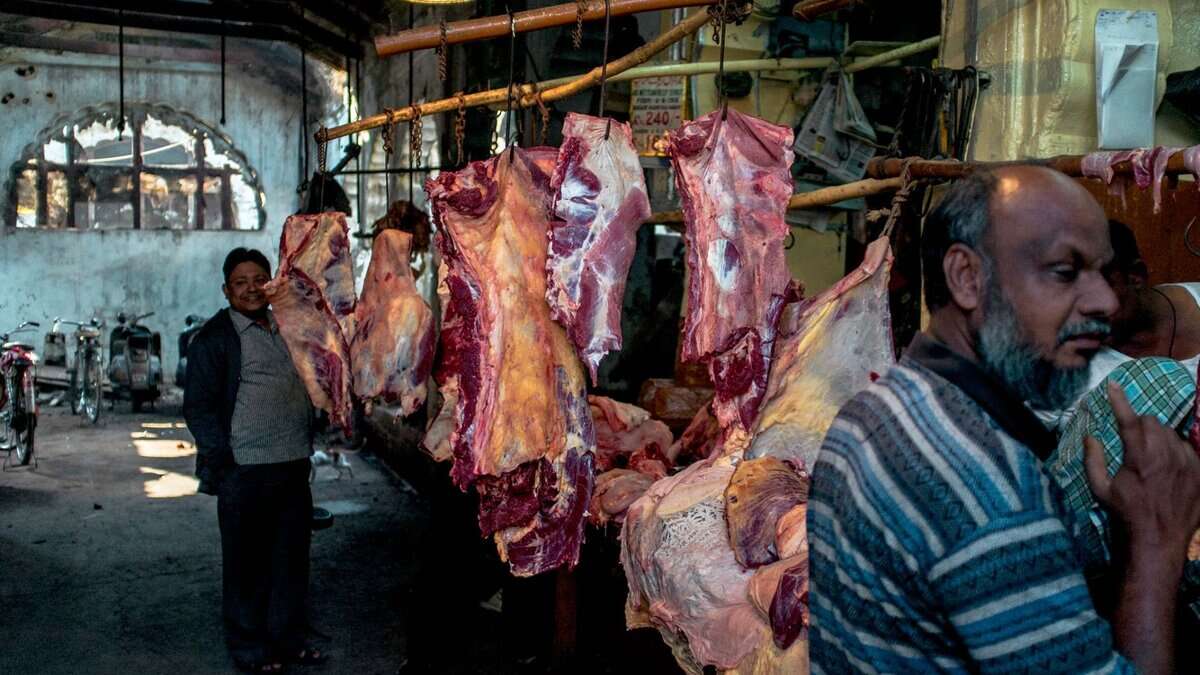 slaughterhouse