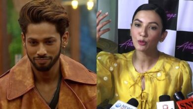 Baseer Ali and Gauahar Khan