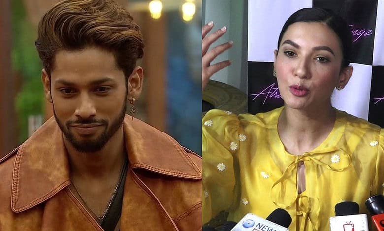 Baseer Ali and Gauahar Khan