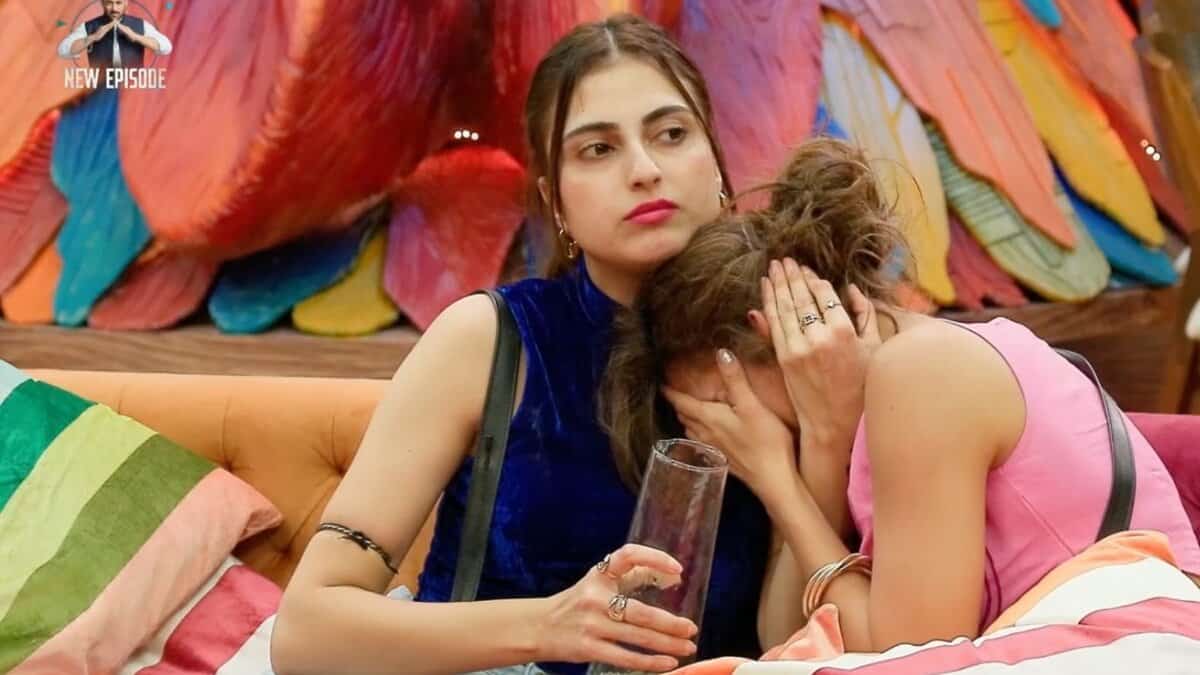 Bigg Boss 19 contestants