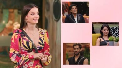 Bigg Boss 19 contestants