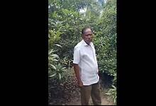 Tatika Narayana Rao