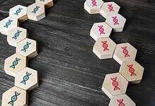 blocks representing genetic comparative study