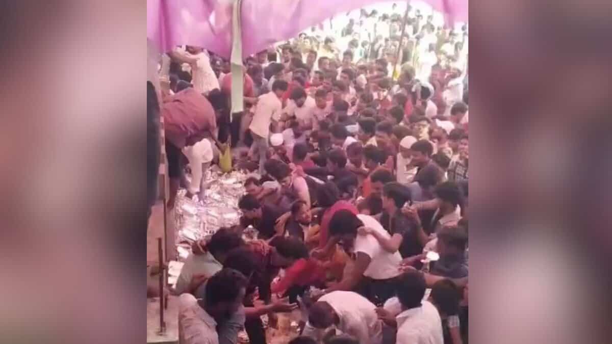 biryani war