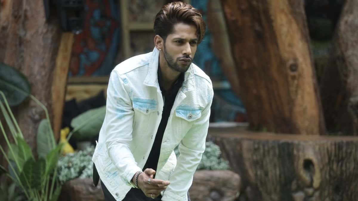 Bigg Boss 19 contestant Baseer Ali