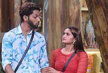 Bigg Boss 19 contestants Baseer Ali and Neelam Giri