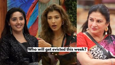 Bigg Boss 19 contestants