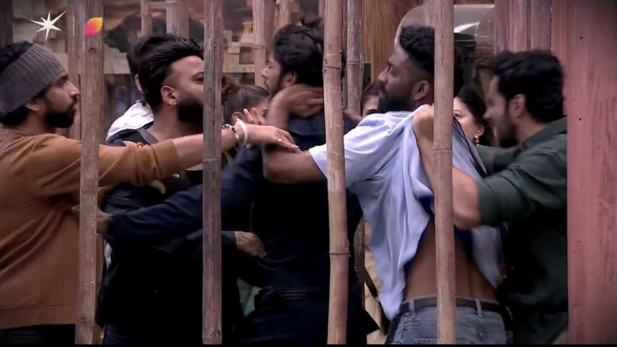 Bigg Boss 19 contestants