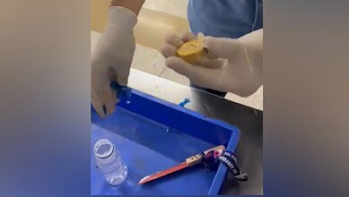 Customs officer holds a gold piece hidden inside a beverage bottle cap seized from a Dubai passenger at Delhi airport.